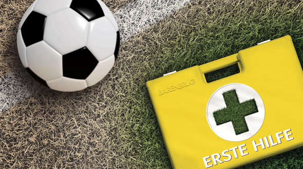 Behebung von Trockenschaden auf Spielfeldern.jpg